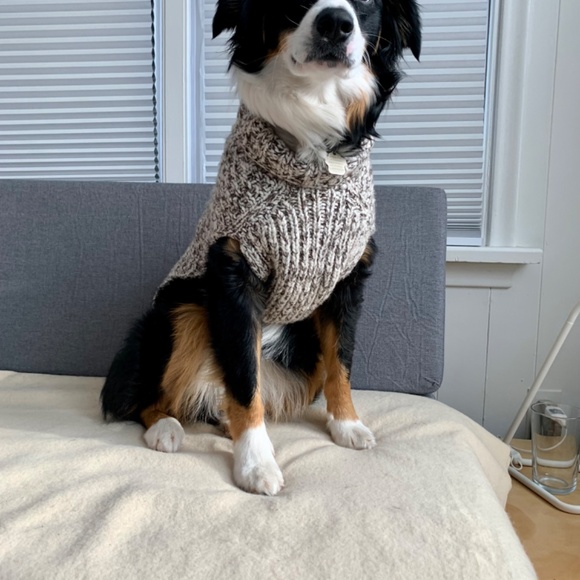 Wool Dog Sweater - Picture 3 of 5